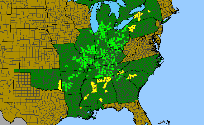 The range of Frasera caroliniensis